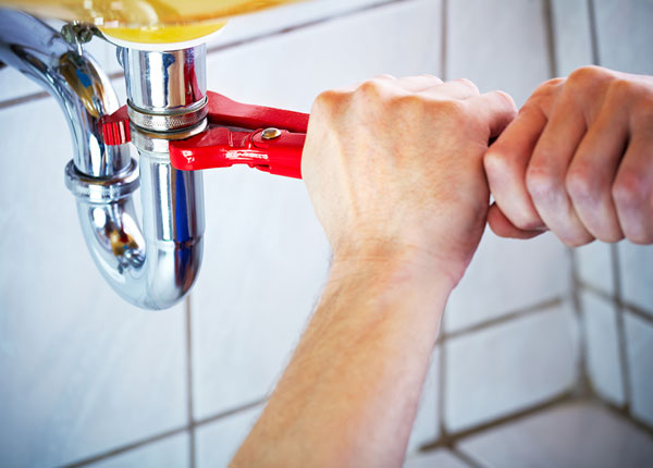 About Thurston Plumbers
